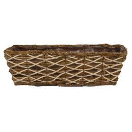 17″ Mixed Palm Woodland Tabletop