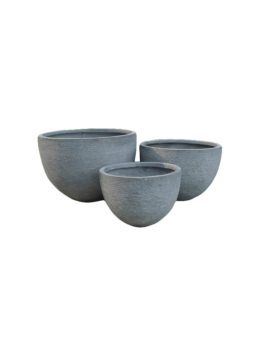 Bowl Vela S3