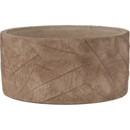 Live Green™ Botanica Cement 7.75 in. Dish Planter