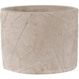 Live Green™ Botanica Cement 5.5 in. Cylinder Planter