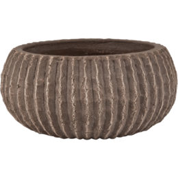 Live Green™ Crest Cement 6.5 in. Bowl