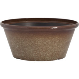 Sora Glazed 12 in. Bowl Planter