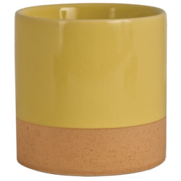Live Green™ Nidos 4 in. Bicolor Cylinder