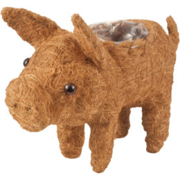 Live Green™ Coco Critter Pig Planter