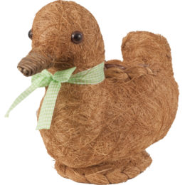 Live Green™ Coco Critter Duck Planter