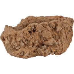 Live Green™ Caldera 8 in. Planter