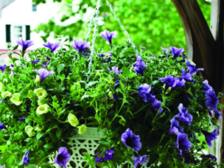 11412_MarrakeshJute14inHBWhite_lifestyle