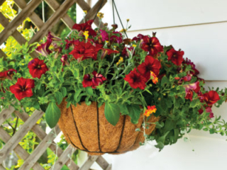 3-5116PB_16inGrowerHB_Lifestyle