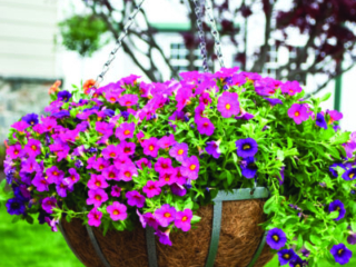 30501_Oxford14inHBPewter_lifestyle