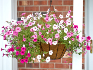 5114PB_14inGrowerHBwirehanger_Lifestyle