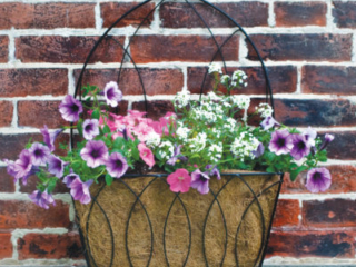 LotusWallPlanter_Lifestyle