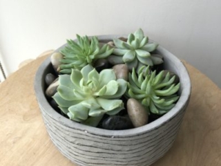 0A100613-31CE-4D12-9679-6E31A4A75C3D