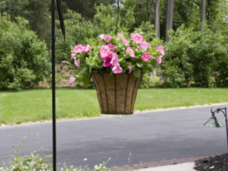 2-18062_SingleShepHook_lifestyle