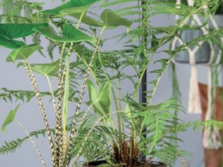 2 – Almada lifestyle