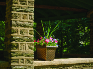 41201_IbezaGold_lifestyleGlenolden