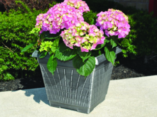 41300_RegentSilver_lifestylecornerhydra