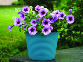 44710_8inMomaScubaBlue_Lifestyle