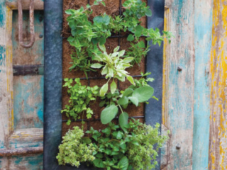 69011_ASWallPlanterBlackZinc_lifestyle