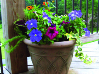 81207_12inArchBrown_lifestyleDM