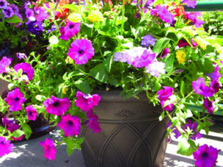 81207_ArchesBrown_Lifestyle