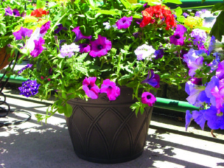 81304_TerrainArchBrown_Barlows