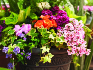 81330_LatticeTerrainCharcoal_Lifestyle