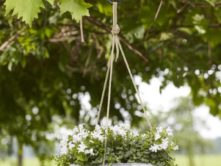 Nova hanger concrete_03