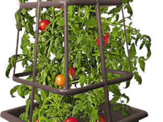 TomatoCagePlanter_BlackCoffee_TomatoPlantedLR